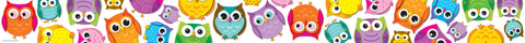 Colorful Owls Border