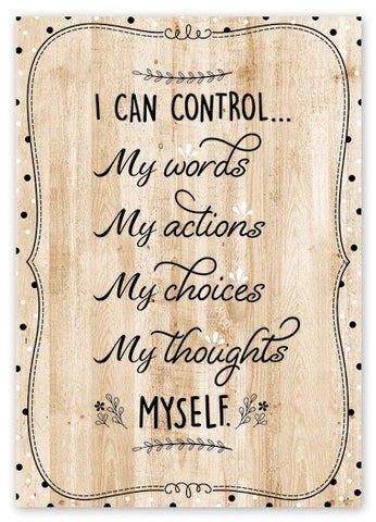 I Can Control Poster