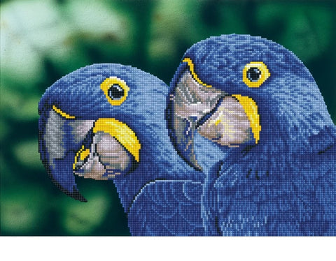 Diamond Dotz Macaws