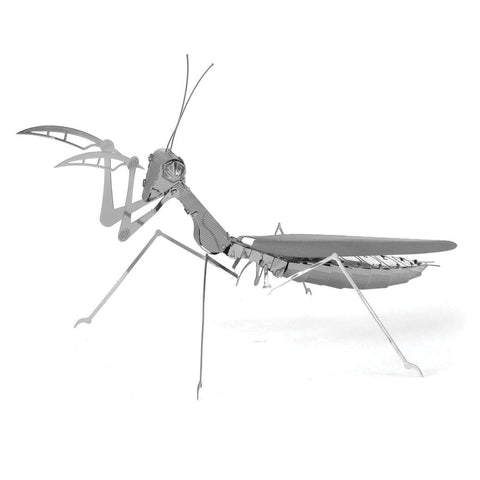 Praying Mantis 3D Model