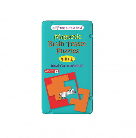 Brain Teaser Magnetic Game