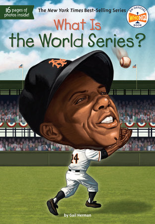 What Is The World Series Book