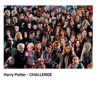 Harry Potter Challenge 1000 Piece Puzzle