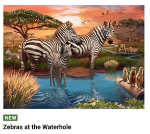 Zebras At The Waterhole 500 Pc Pz