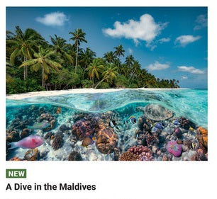 A Dive In The Maldives 2000 Pc Pz