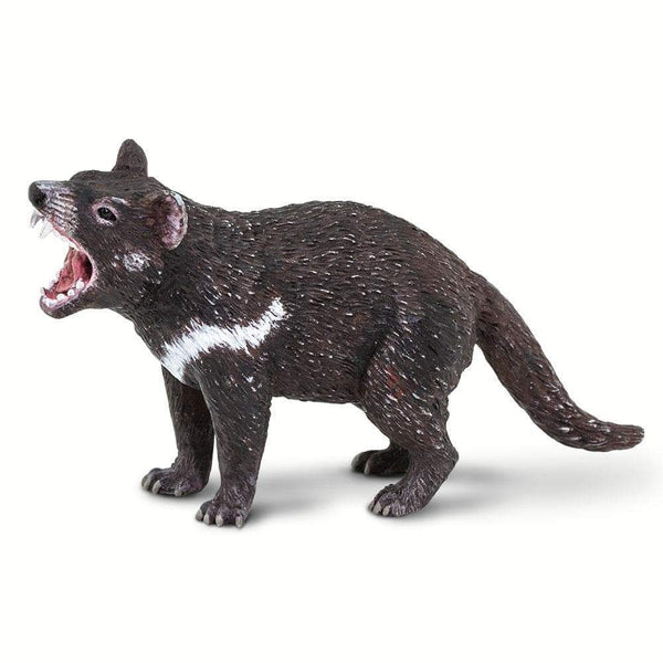Tasmanian Devil – School House GB