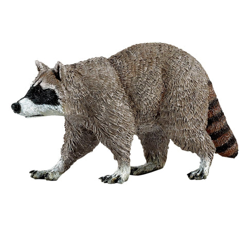 Raccoon