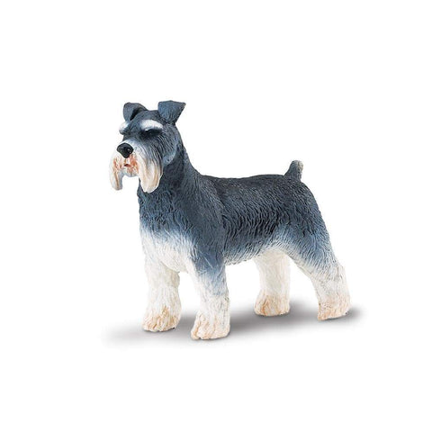 Schnauzer