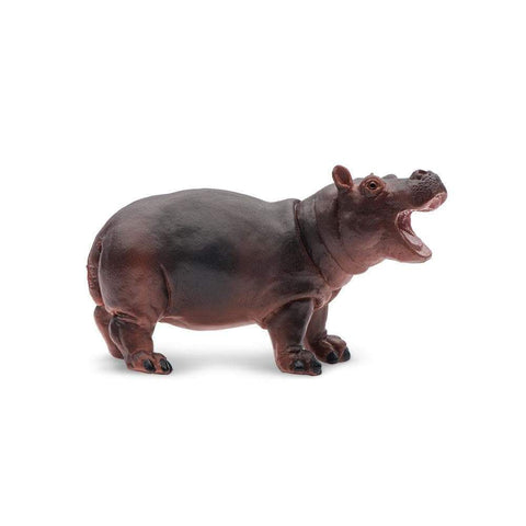 Hippo Baby