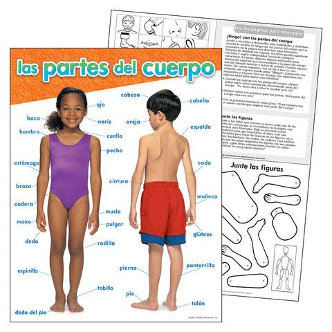Spanish Parts Of The Body Chart